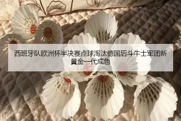 xi-ban-ya-dui-ou-zhou-bei-ban-jue-sai-dian-qiu-tao-tai-de-guo-hou-dou-niu-shi-jun-tuan-xin-huang-jin-yi-dai-cheng-se-2-299.jpg